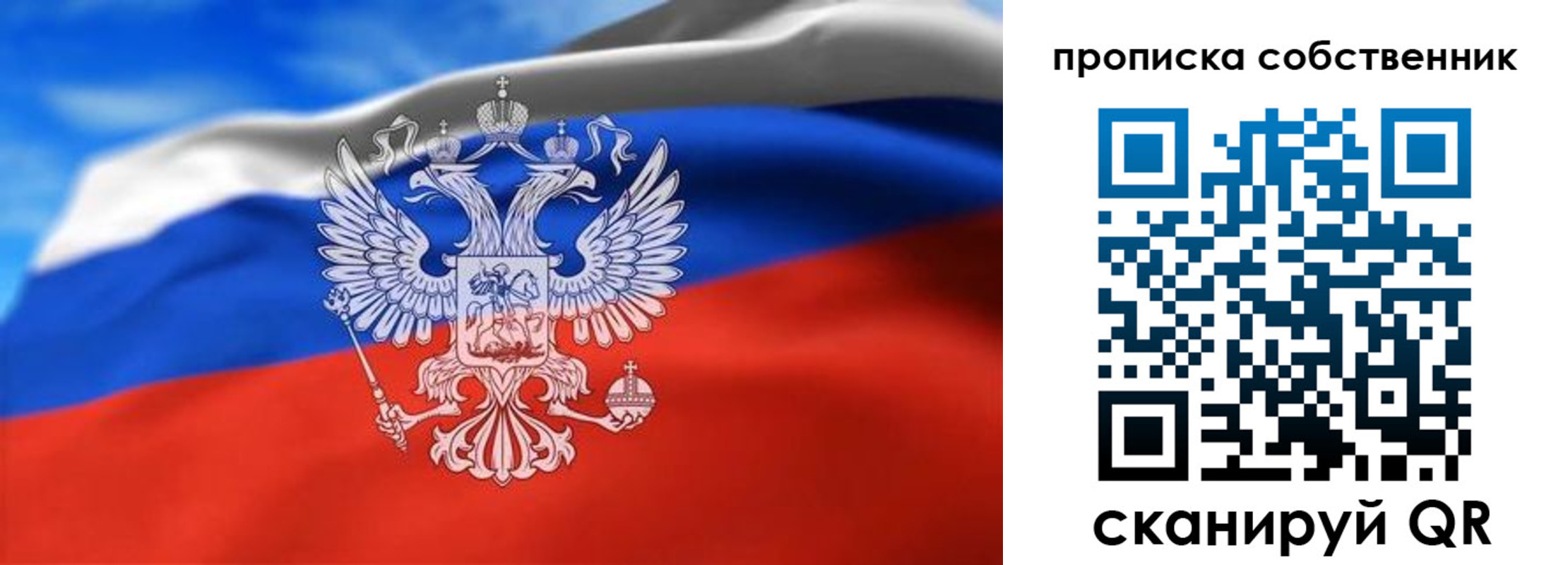 прописка законно в Завитинске